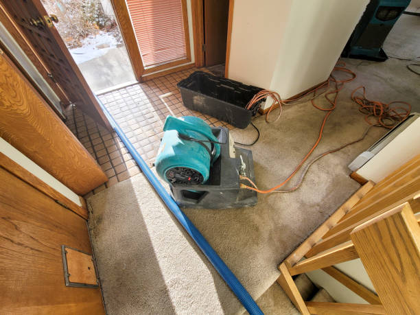 Reliable Thomasville, NC Water damage restoration Solutions