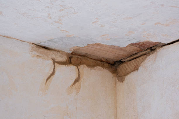Best Carpet water damage restoration  in Thomasville, NC