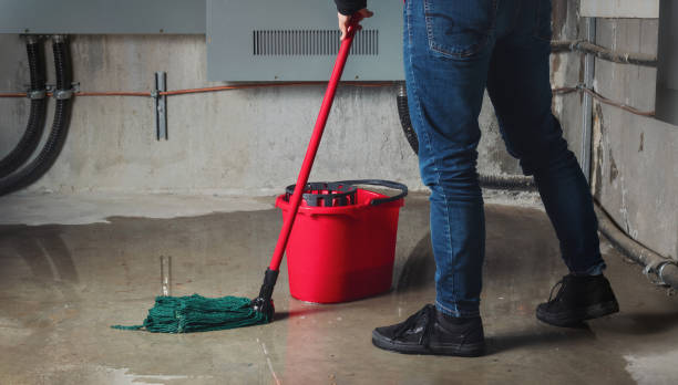 Best Flood restoration services  in Thomasville, NC