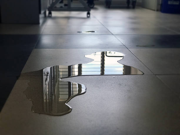 Best Water damage mitigation services  in Thomasville, NC
