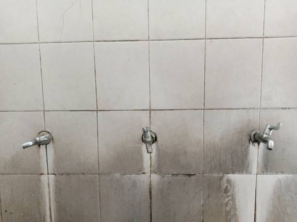 Best Residential water damage restoration  in Thomasville, NC