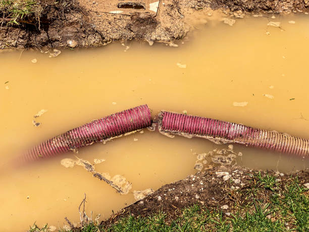 Best Water damage contractors near me  in Thomasville, NC